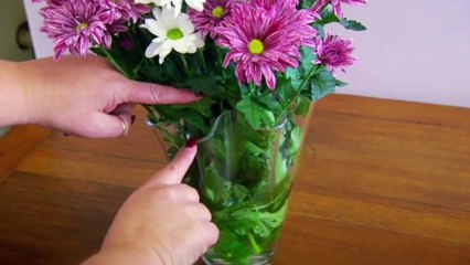 Obsessive Compulsive Cleaners - Life Changing New Home