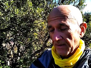 Mon chemin de Compostelle   3 jours de marche à Jeun