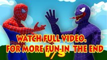 Amazing Spiderman Vs Venom Finger Family | Spiderman Finger Family Nursery Rhymes In Real Life 3D