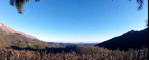 Dridhje e fuqishme e pemeve nga termeti ne Itali