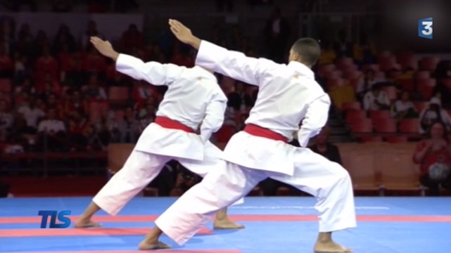 Zarco, les karatékas français et l'OGC Nice au top : le week-end sportif en images