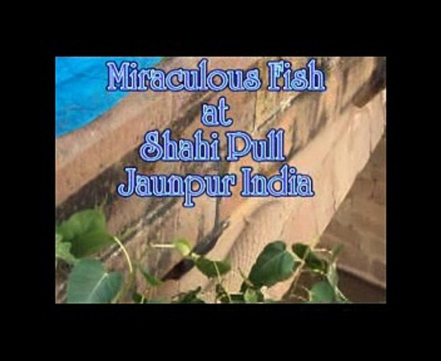 Secrets of the Shahi Pull jaunpur