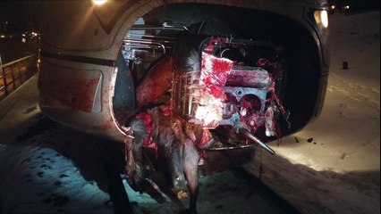 Examples of Deer-Train Encounters