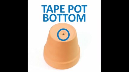 5 Ultimate Life Hacks to Simplify Your Daily Routine ✨