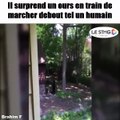 Il surprend un ours en train de marcher debout tel un humain (1)