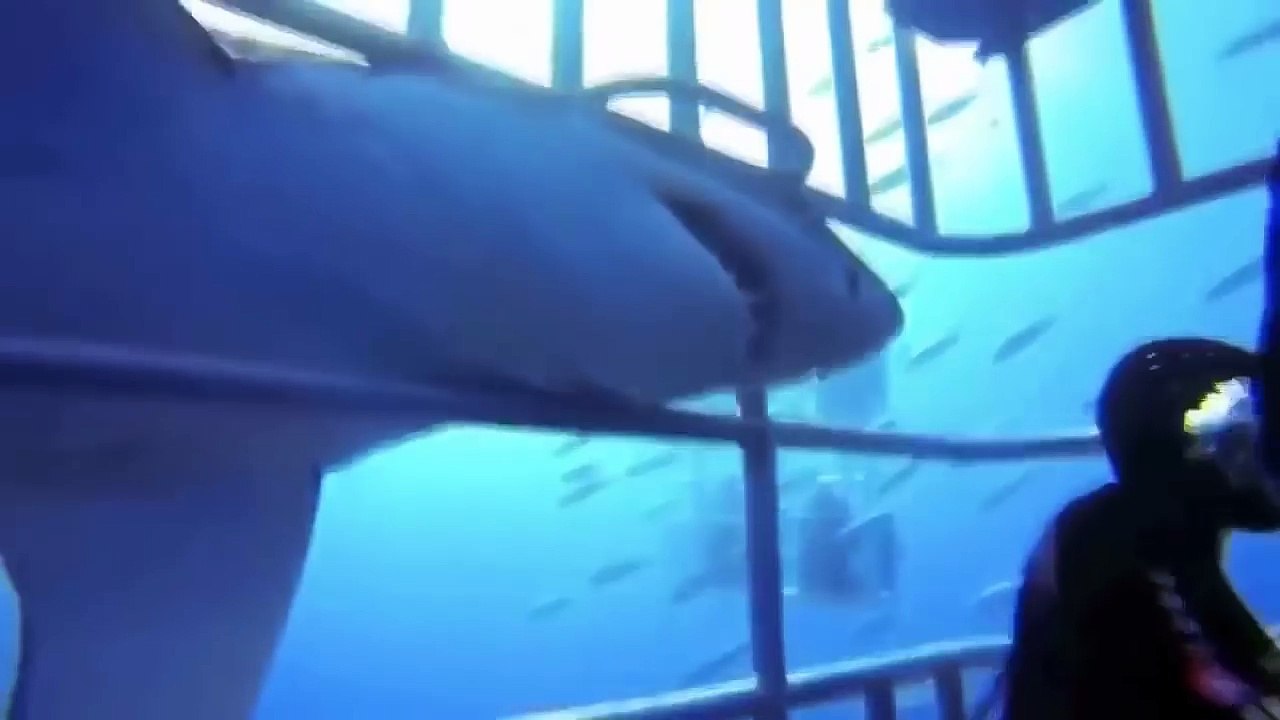 The Luckiest People in The World - Lucky People Compilation 2016 - Most Amazing Video