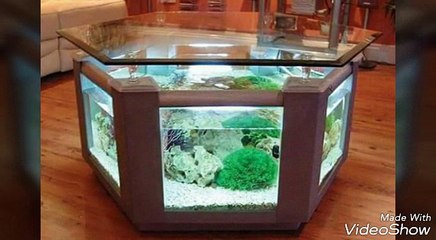 Ponds fish and water tanks