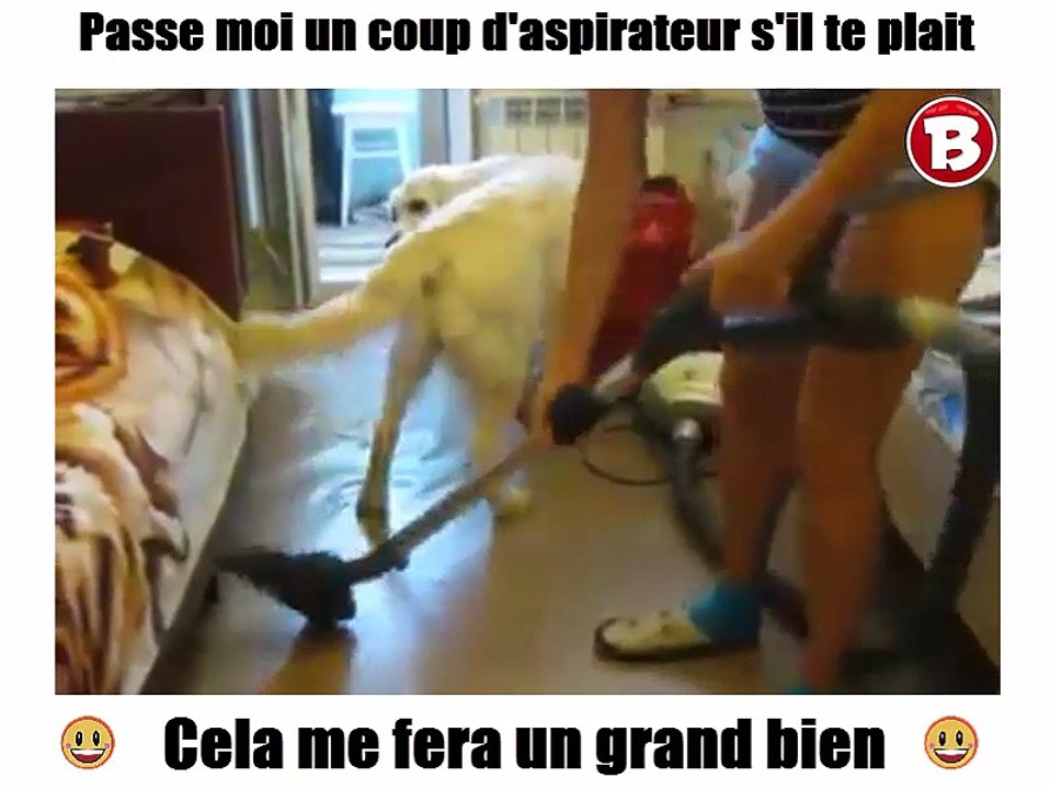 Passe moi un coup d'aspirateur s'il te plait! Cela me fera un grand bien!! lol