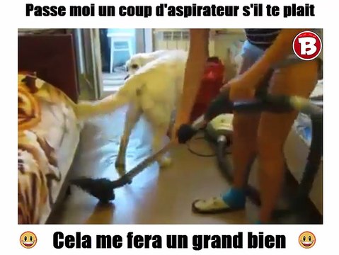 Passe moi un coup d'aspirateur s'il te plait! Cela me fera un grand bien!! lol