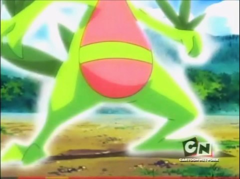 Ashs Grovyle evolves into Sceptile!