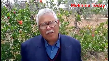 قصيدة للشاعر رمضان الهلالي : تصوير و مونتاج طارق عويدان