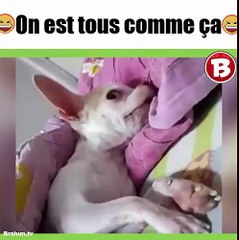 on est tous comme ca