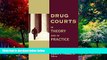 Big Deals  Drug Courts: In Theory and in Practice (Social Problems and Social Issues)  Best Seller