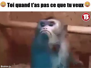 Toi quand t'as pas ce que tu veux