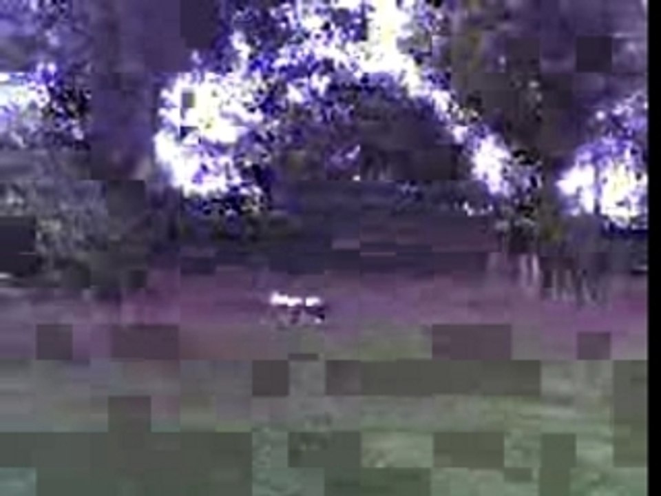 15-08-07_1550