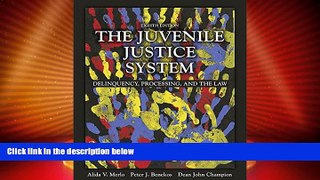 Big Deals  The Juvenile Justice System: Delinquency, Processing, and the Law (8th Edition)  Full