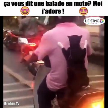 ca vous dit une balade en moto Moi j'adore