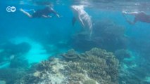 Büyük Set Resifi'ne gönüllü koruma