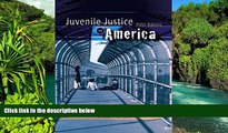 Full [PDF]  Juvenile Justice in America Value Package (includes Voices in the Juvenile Justice