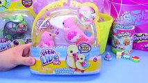 Surprise Toys Easter Basket, Easter Eggs For DisneyCarToys   Little Live Pets, Shopkins Eggs, Beados