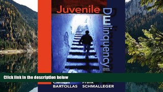 Full Online [PDF]  Juvenile Delinquency (8th Edition)  READ PDF Full PDF