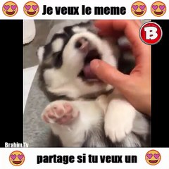 je veux le meme partage si tu veux un