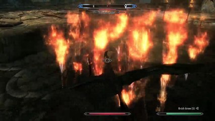 The adventures of artfull dodger