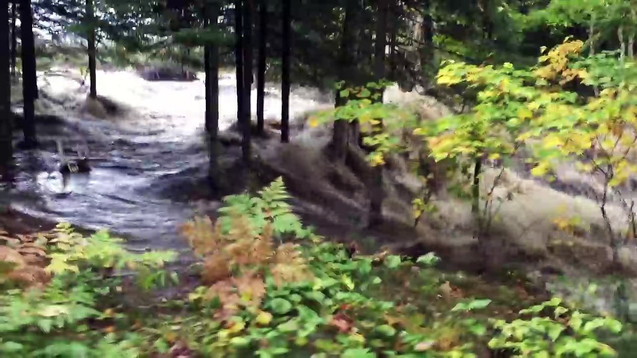 Un étang se retrouve vide après la rupture d'un barrage de castors