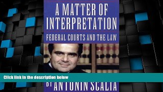 Big Deals  A Matter of Interpretation: Federal Courts and the Law (The University Center for Human