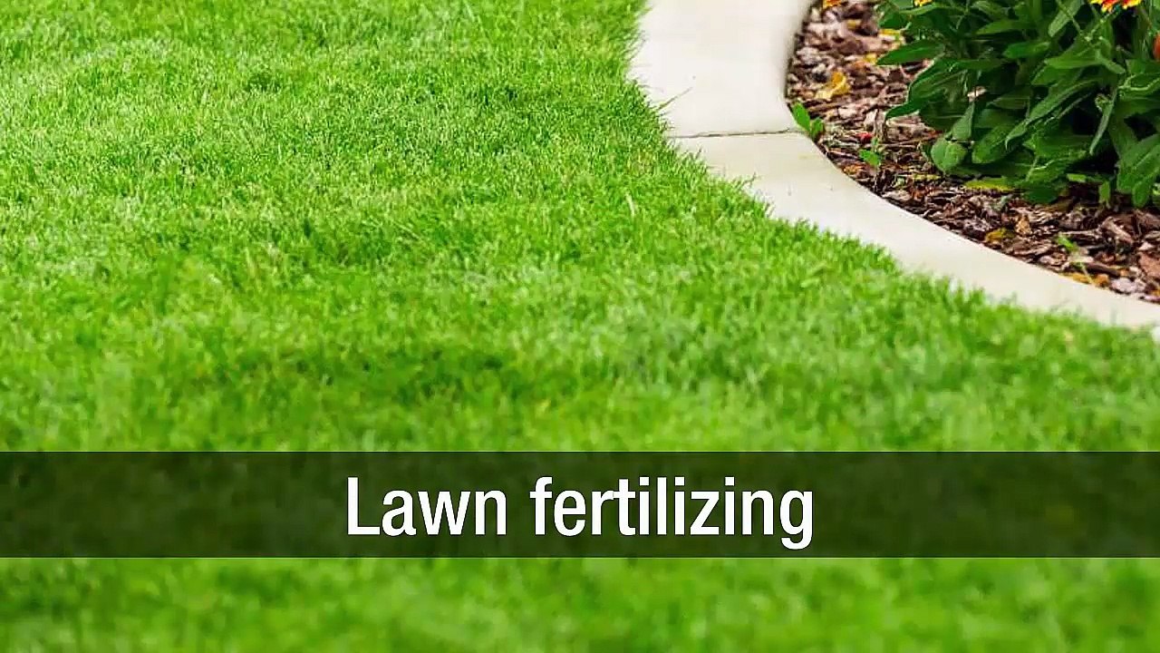 Tips In Getting The Best Lawn At Home