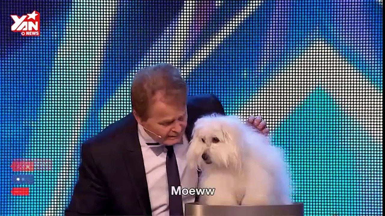 Talking Dog Wendy at Britain's Got Talent 2015 - Dailymotion