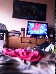 The power Puff girls