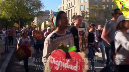 Activists Call for Boycott of Wendy's Fast Food Chain