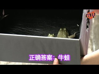 MY FM 敢敢来 2.0 - Emely潘毖伶和Apple邱诗凌（成绩揭晓）