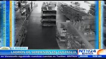 Roban una pitón de más de dos metros en tienda de mascotas en Sidney, Australia