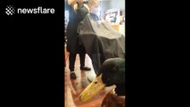 Boy with anxiety and OCD tendencies gets a haircut with his best friend, a duck
