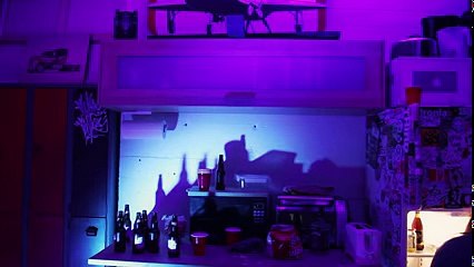 Teddy the Beer - Chapitre I - Walking Dead