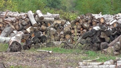 Drutë për ngrohje, qytetarët e Kumanovës ankohen për çmimet