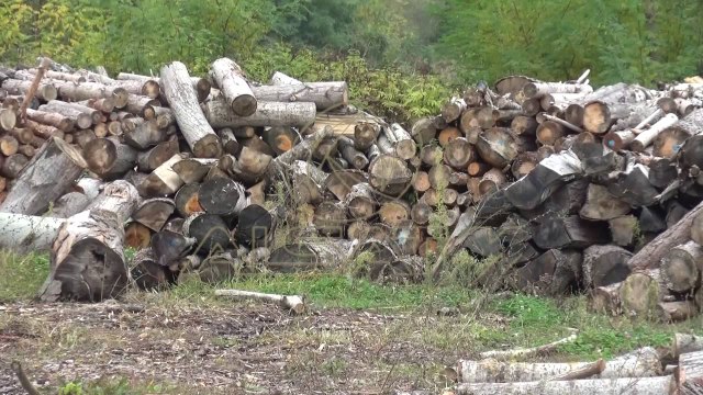 Drutë për ngrohje, qytetarët e Kumanovës ankohen për çmimet