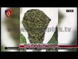 Fier, sekuestrohen 380 kg kanabis arrestohen 8 persona, 2 në kërkim - News, Lajme - Vizion Plus