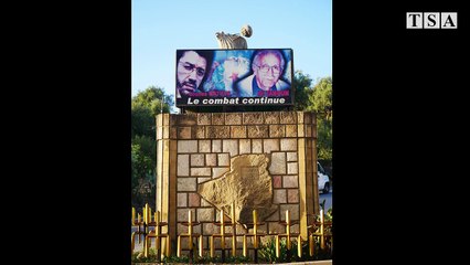 Reportage du 1er novembre 1954