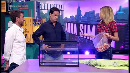 Cómo envasar al vacío diez kilos de gambas en casa