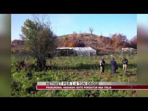 Prokuroria, hetim për drogën në Mamurras - News, Lajme - Vizion Plus