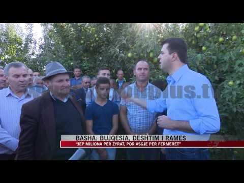 Basha: Bujqësia, dështim i Ramës - News, Lajme - Vizion Plus