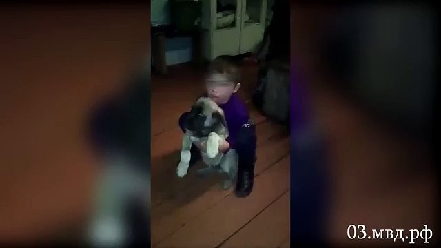 Un niño de cinco años sobrevivió en un bosque siberiano lleno de lobos