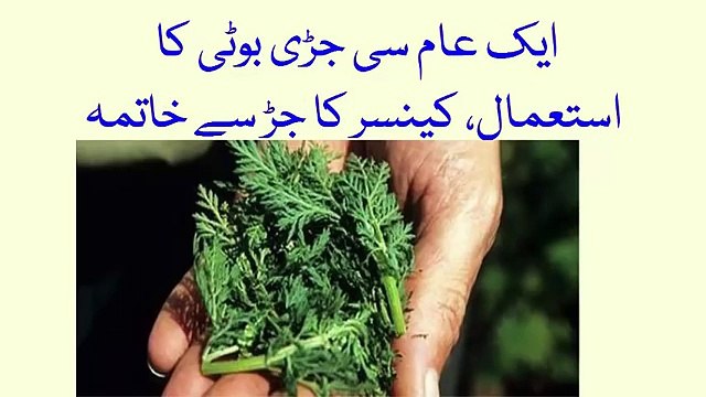 Cancer Ka Desi nuskha sy Ilaj- Cancer treatment کینسر کا جڑ سے خاتمہ
