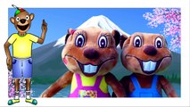 Busy Beavers From Amazon | Buy Billy & Betty Beaver Plush Toy Animals, Kids Stuffed Toys