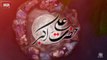 AKBAR-E-NOJAWAN Mehdi Abbas Zaidi Nohay 2016-17 (Muharrum 1438) HD