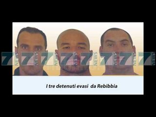 ARRATISEN TRE SHQIPTARE - News, Lajme - Kanali 7