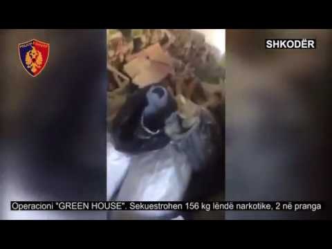 Ora News - Shkodër, sekuestrohen 156 kg kanabis, dy në pranga